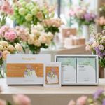 YOUNGME Gift Set Soothing Glam 12 Sheets UV IR Thermal Soothing High Moisturizing Home Care _ Made in Korea